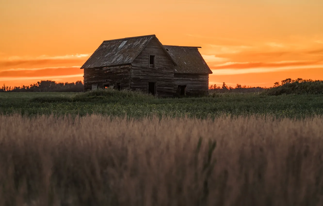 Photo wallpaper field, summer, the sky, grass, clouds, sunset, home, the evening