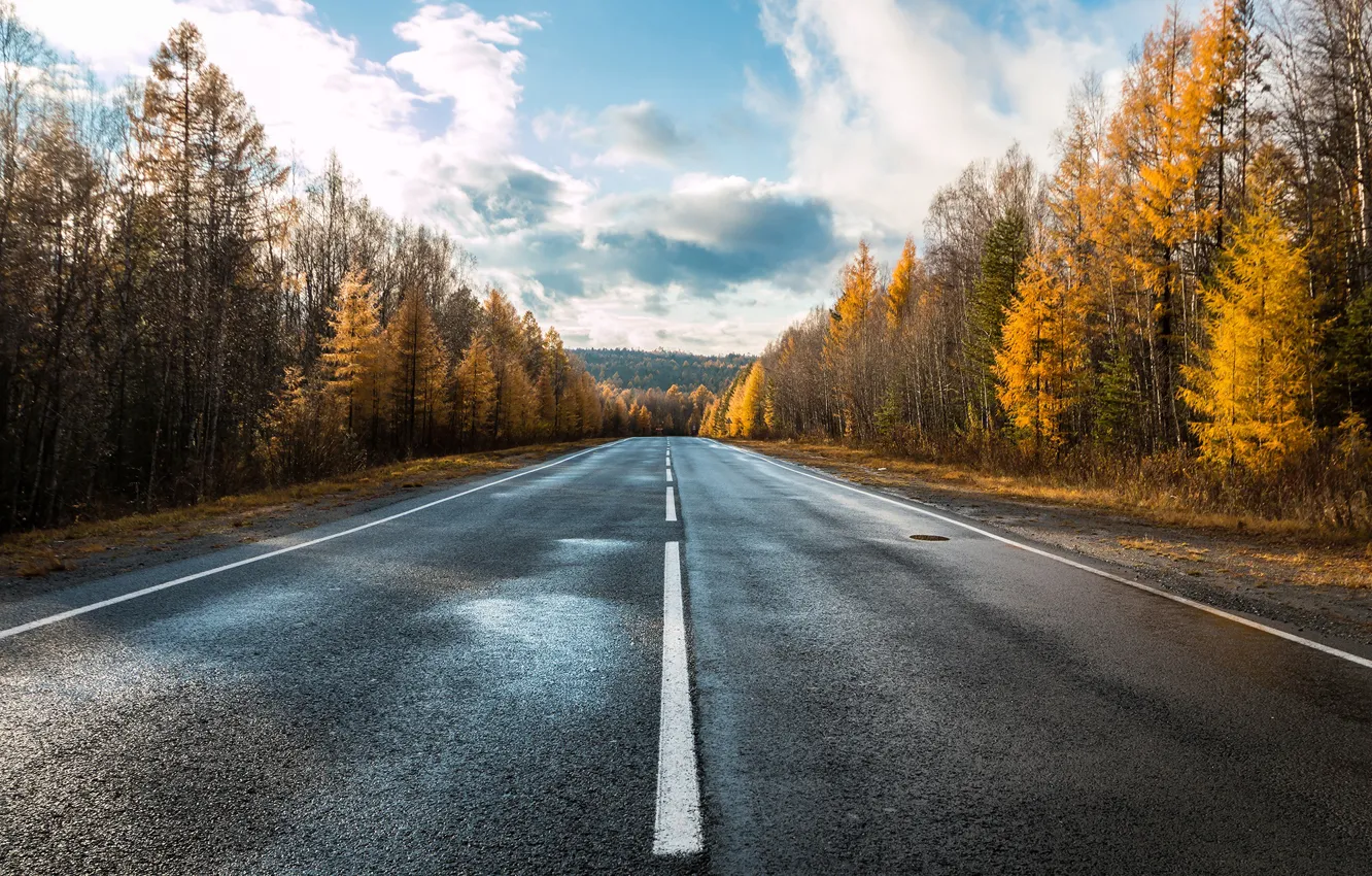 Photo wallpaper road, autumn, asphalt, trees