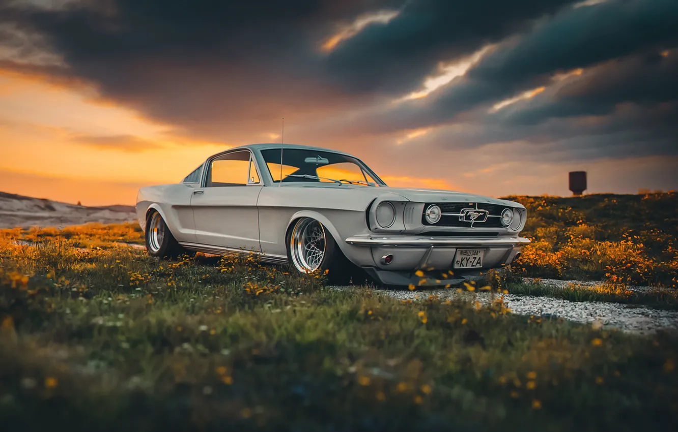 Photo wallpaper Mustang, Ford, Shelby, GT350