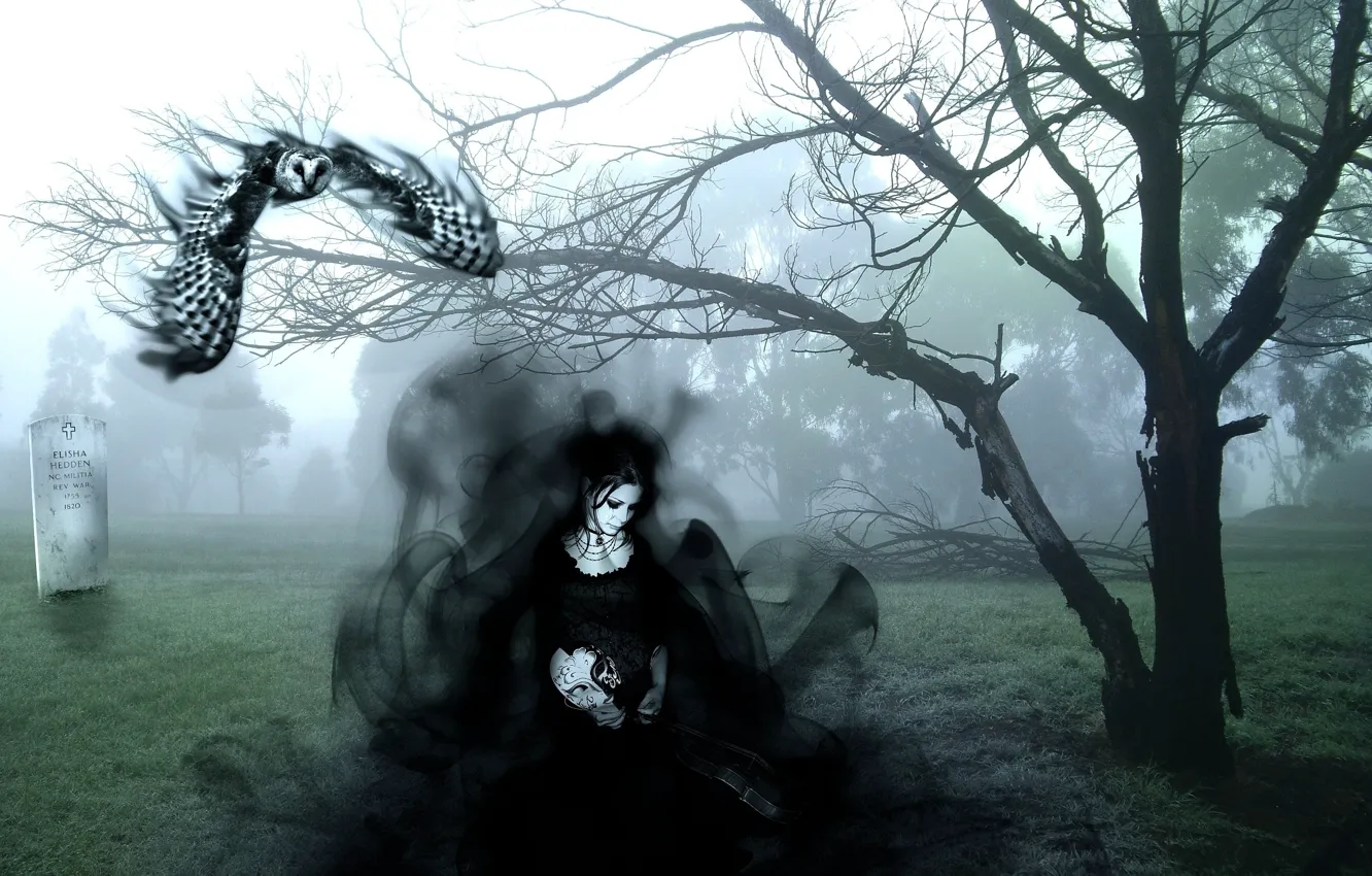 Photo wallpaper girl, Gothic, owl, bird, mask