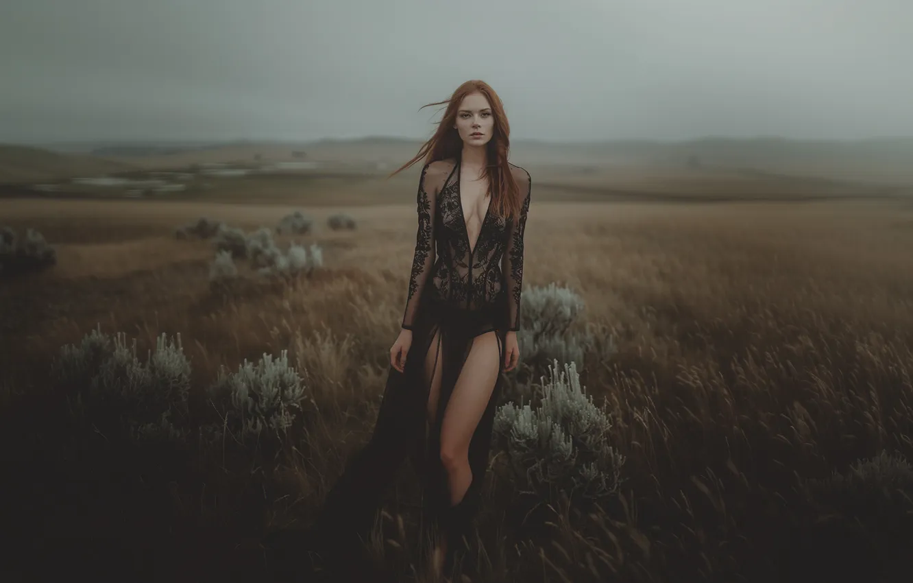 Photo wallpaper field, chest, grass, look, girl, nature, pose, overcast