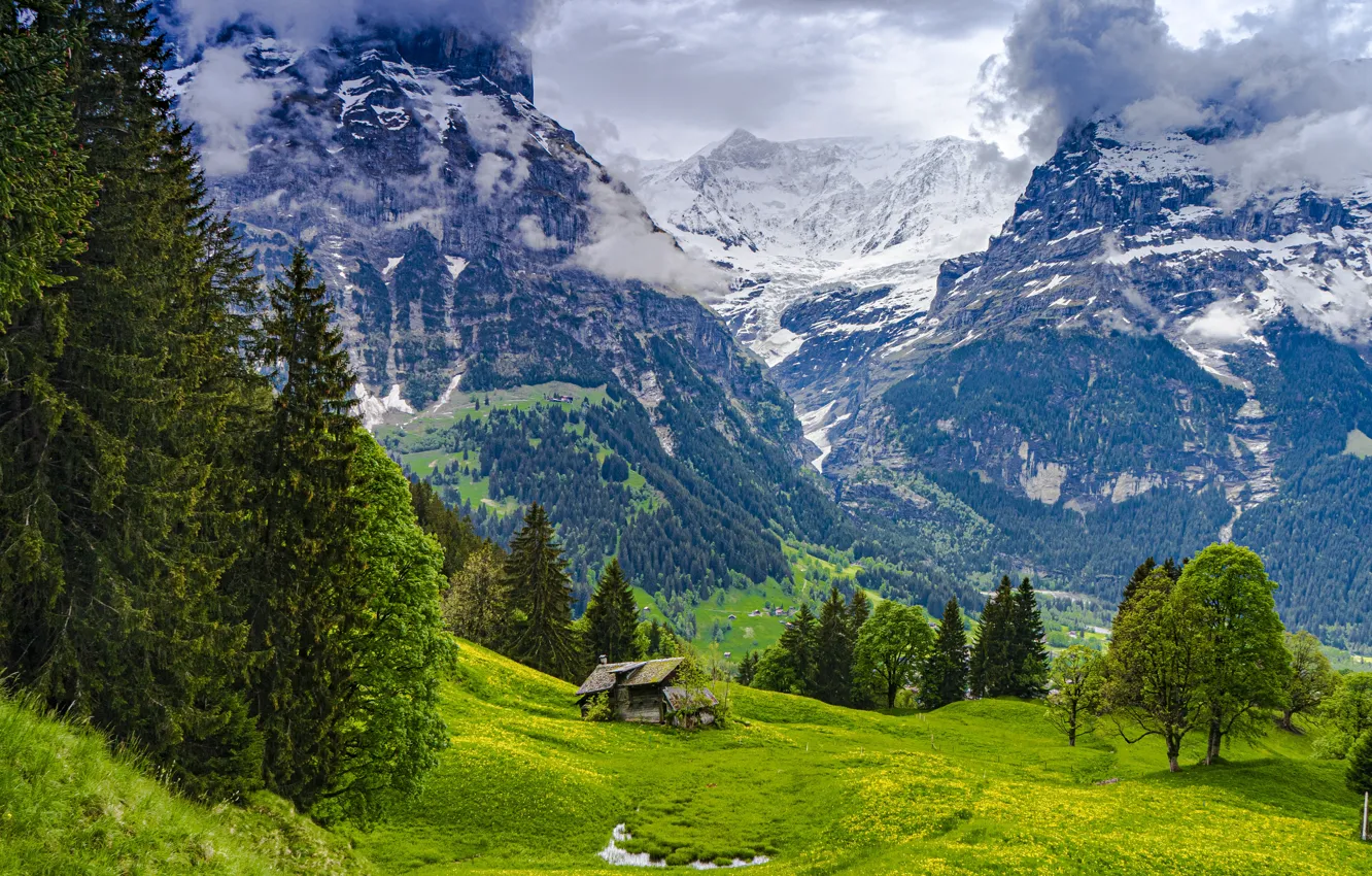 Photo wallpaper field, forest, clouds, mountains, ate, Alps, house
