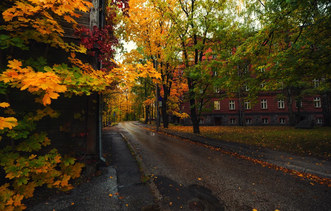 Photo wallpaper Autumn, Estonia, Tartu