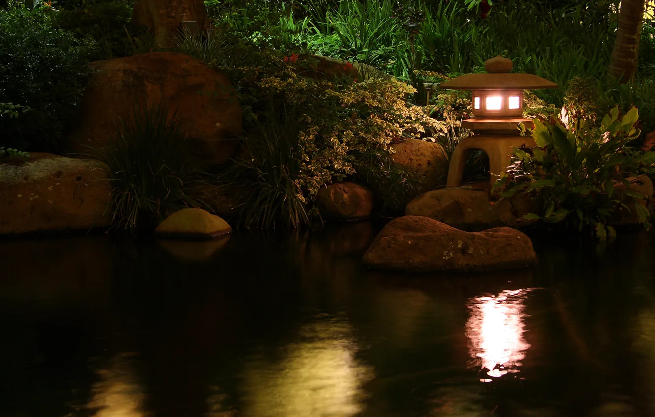 Photo wallpaper water, nature, pond, lamp, lamp