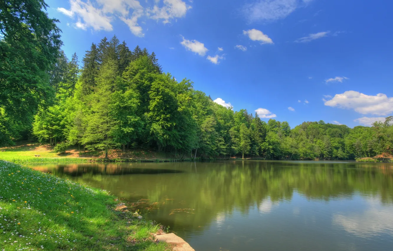 Photo wallpaper summer, pond, river
