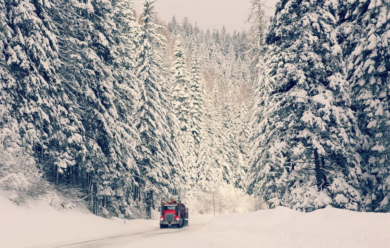 Photo wallpaper winter, road, machine, forest, snow