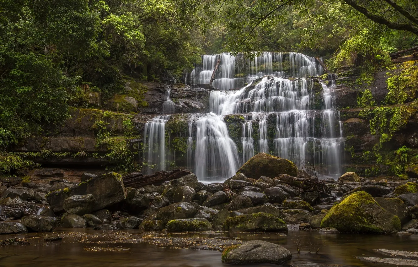 Photo wallpaper forest, stones, waterfall, Australia, cascade, Australia, Tasmania, Tasmania