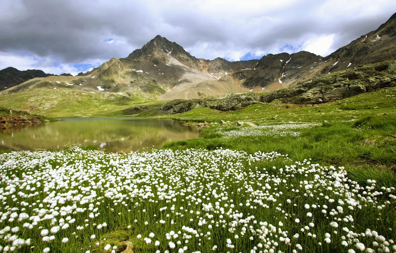 Photo wallpaper field, flowers, mountains, pond