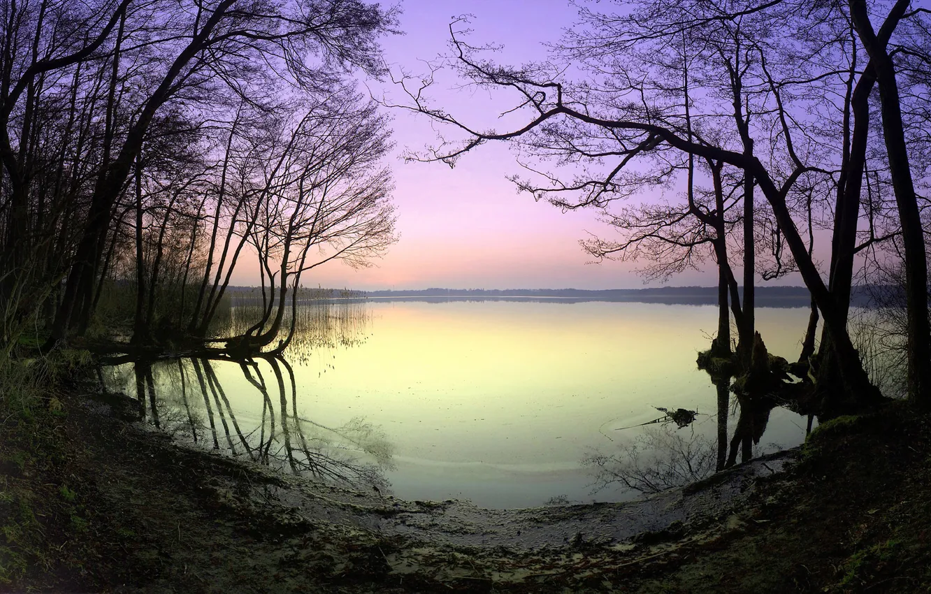 Photo wallpaper HORIZON, REFLECTION, SHORE, POND, VERAVIA