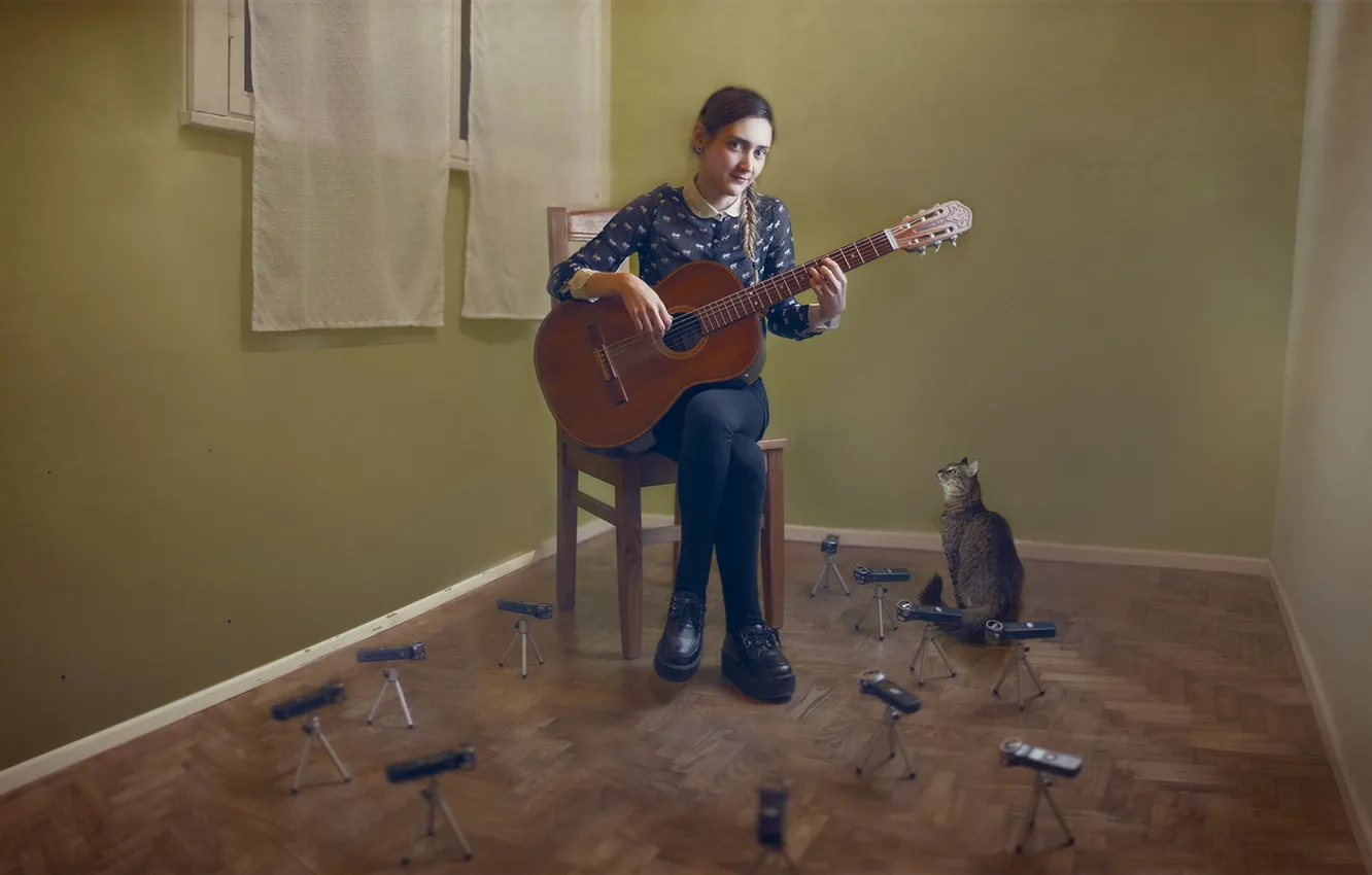 Photo wallpaper cat, girl, music, guitar