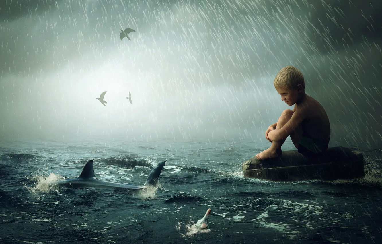 Photo wallpaper wave, rain, shark, boy