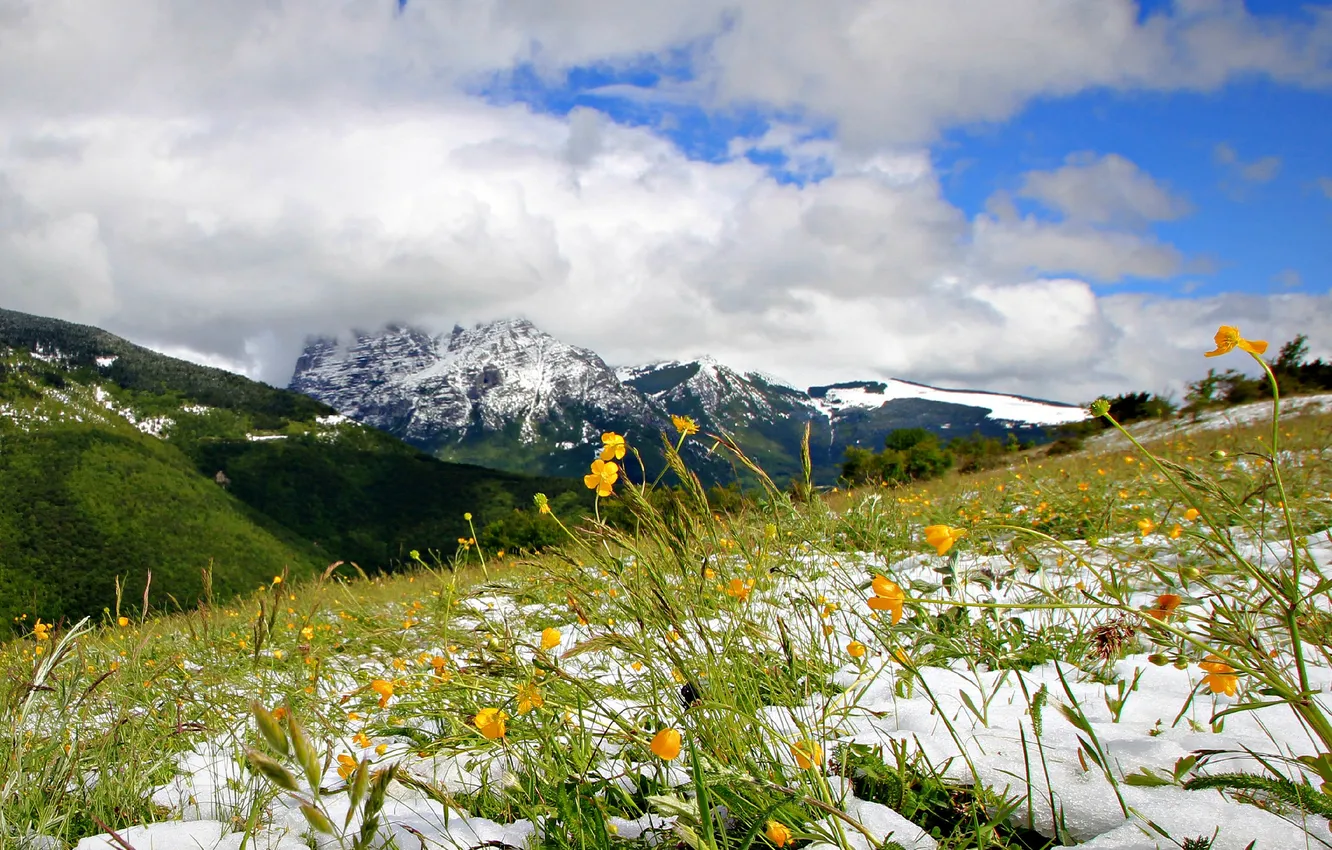 Photo wallpaper the sky, snow, flowers, mountains, clouds, spring