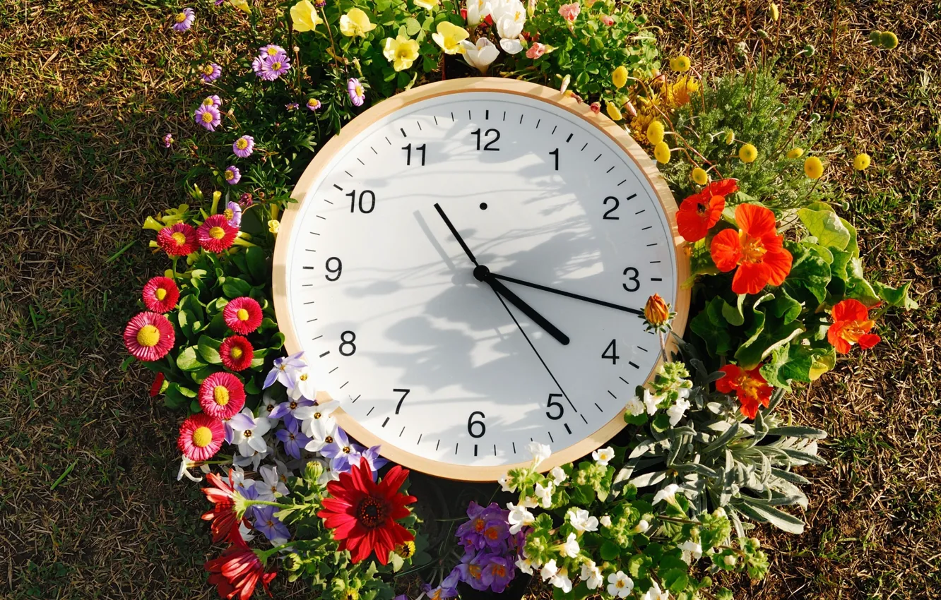 Photo wallpaper grass, flowers, arrows, watch, dial