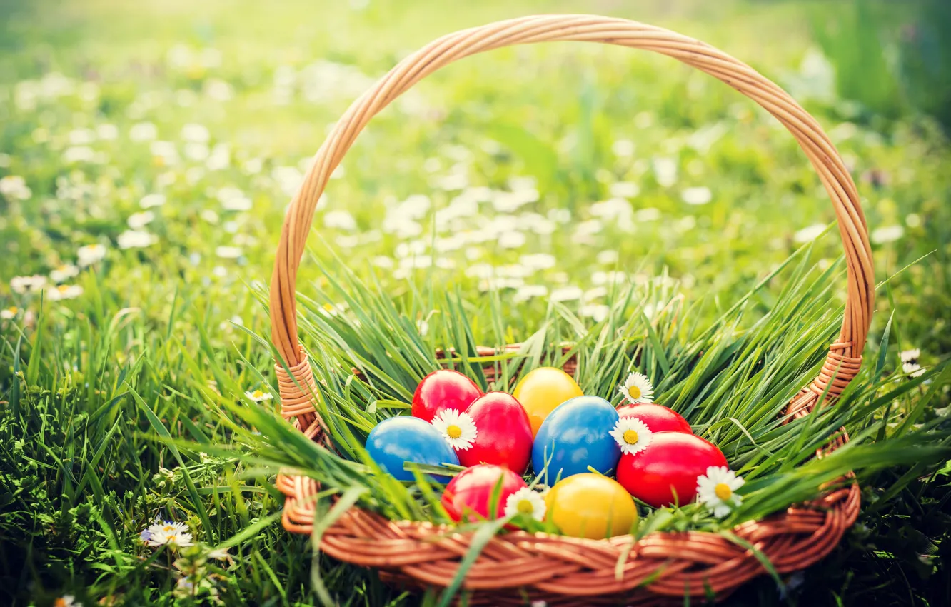 Photo wallpaper grass, flowers, basket, Easter, flowers, spring, Easter, eggs