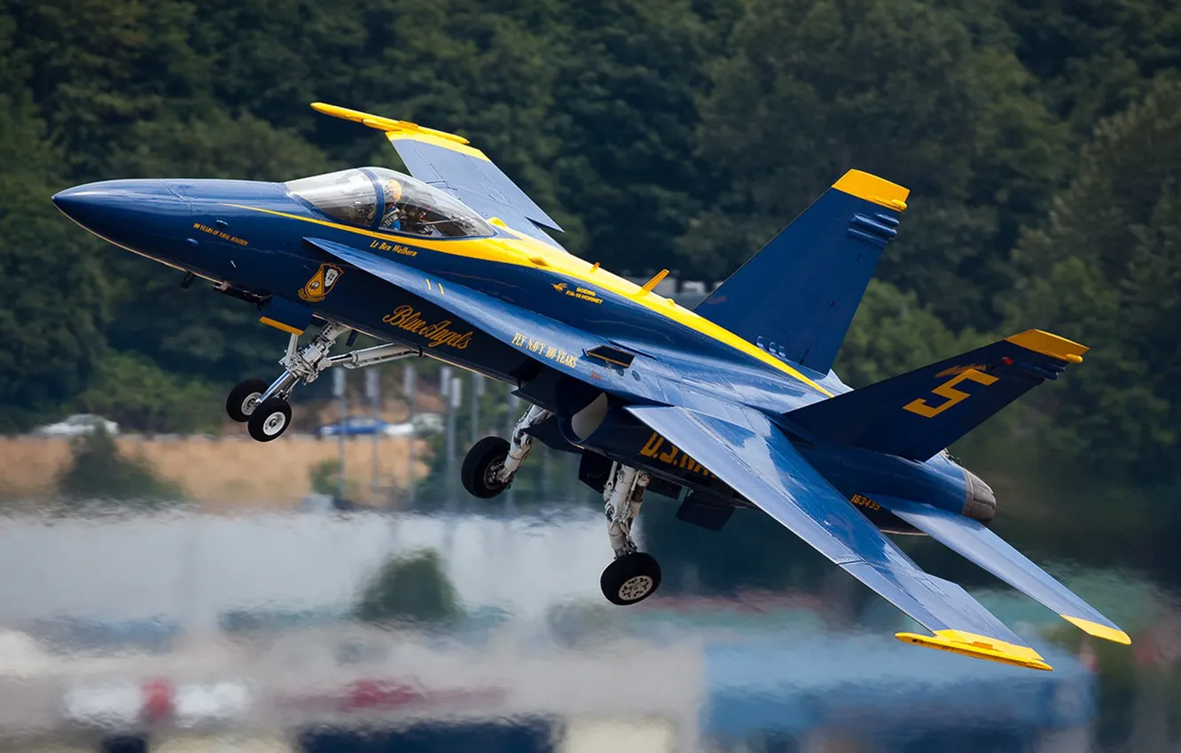 Photo wallpaper fighter, the blue angels, f-18