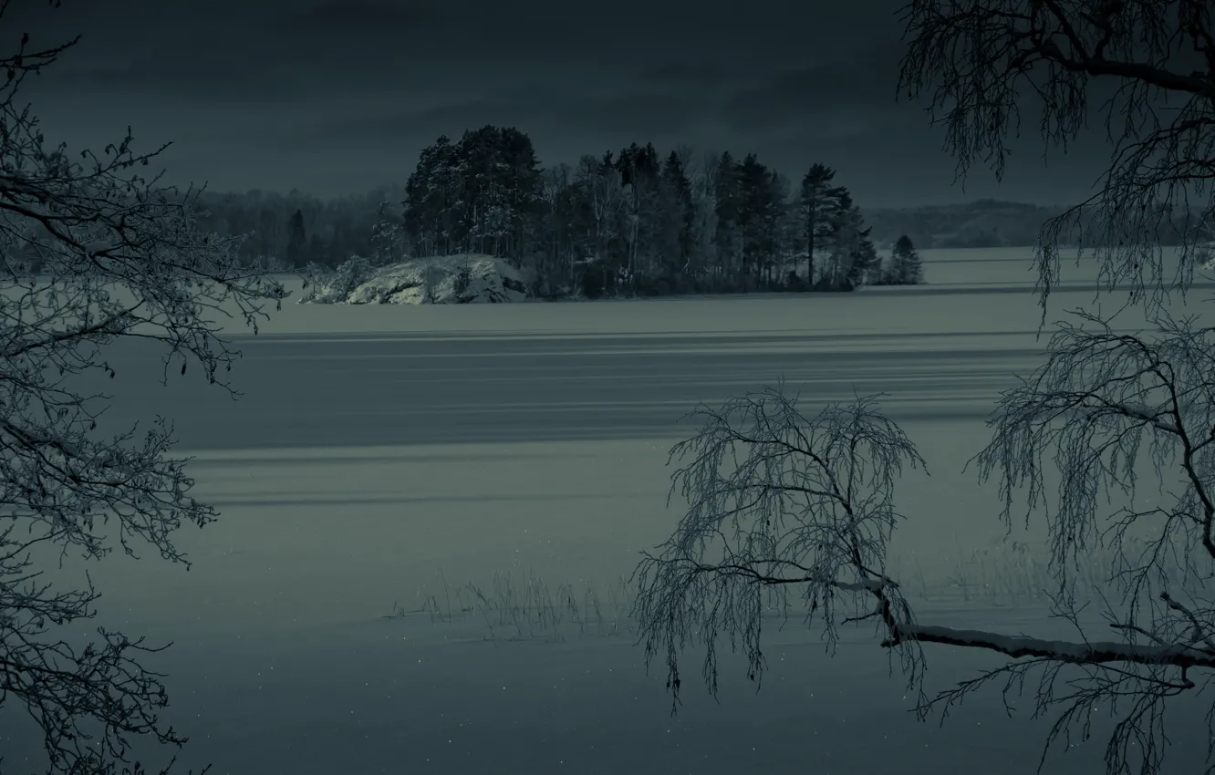 Photo wallpaper Frozen, winter, lake, islet
