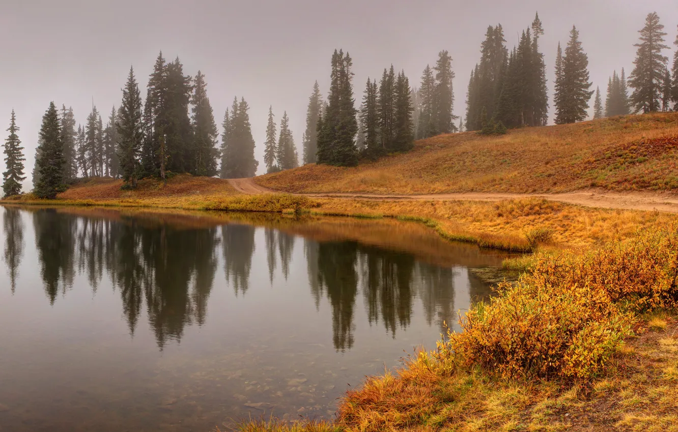 Photo wallpaper autumn, forest, fog, lake, reflection, shore, morning, ate