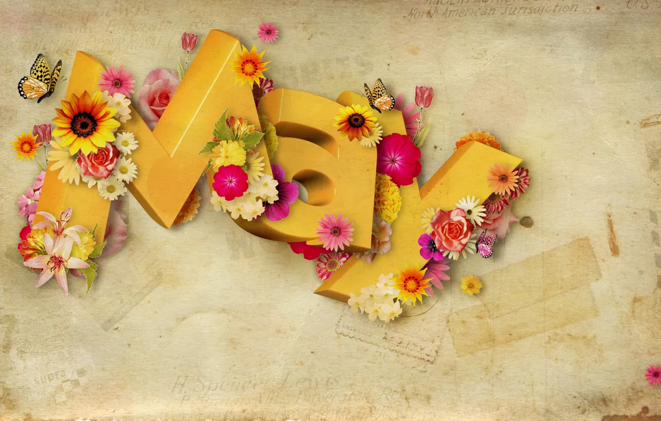 Photo wallpaper butterfly, flowers, letters, May