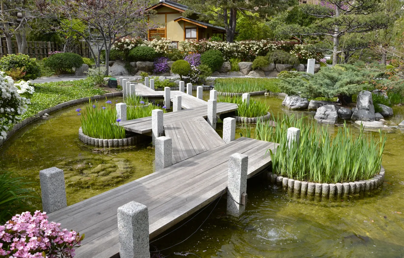 Photo wallpaper grass, trees, flowers, nature, pond, Park, plant, garden