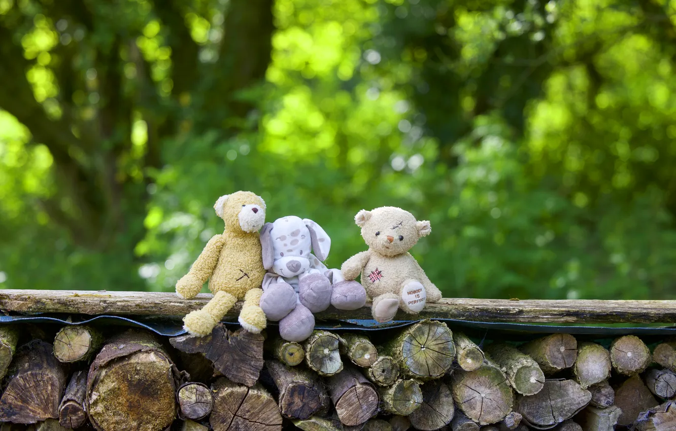 Photo wallpaper greens, summer, nature, together, toy, dog, bear, puppy