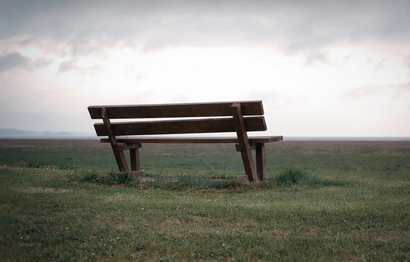 Photo wallpaper field, landscape, bench