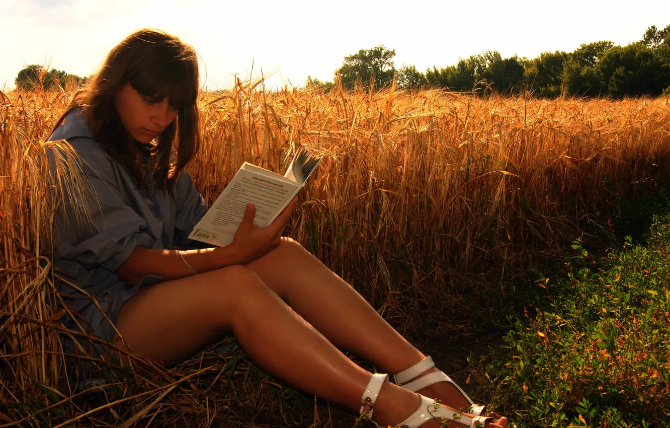 Photo wallpaper field, nature, book, brown hair