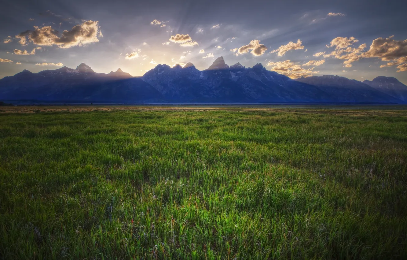 Photo wallpaper Wyoming, Teton, Grasslands