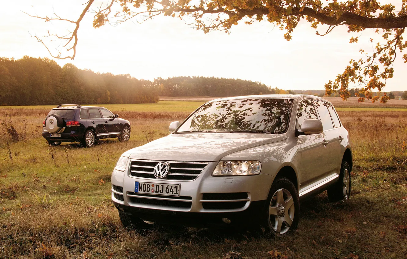 Photo wallpaper field, forest, trees, branches, Volkswagen, jeep, SUV, Touareg