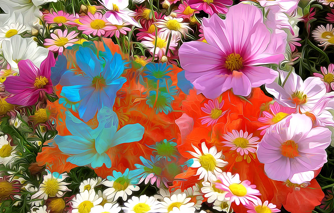 Photo wallpaper line, flowers, abstraction, paint, petals, Daisy, kosmeya