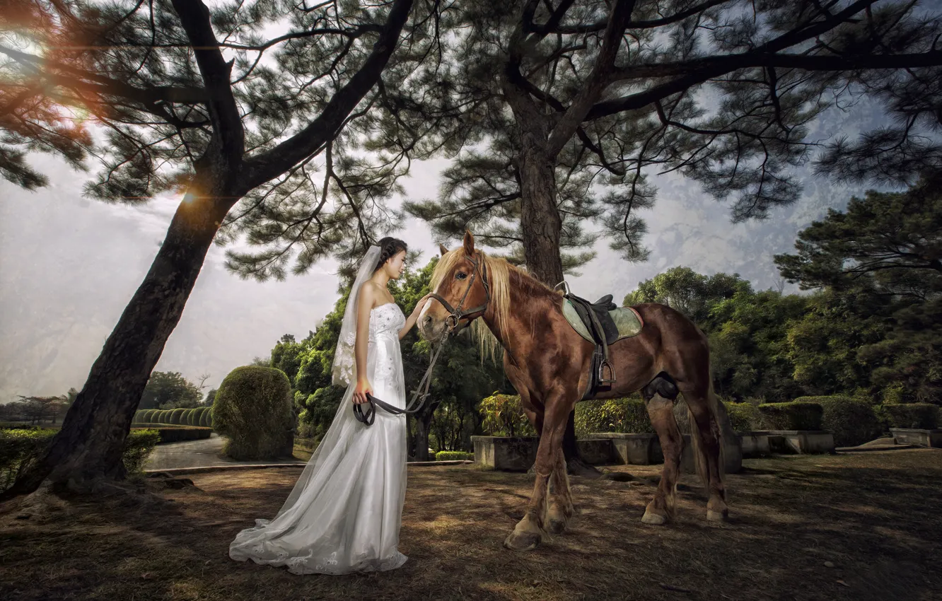 Photo wallpaper girl, Park, mood, horse, dress, Asian, the bride, wedding dress