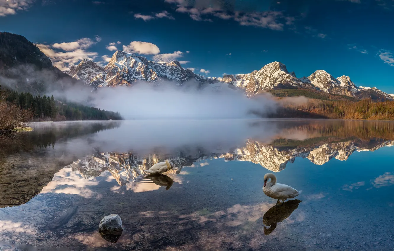Photo wallpaper mountains, lake, swans