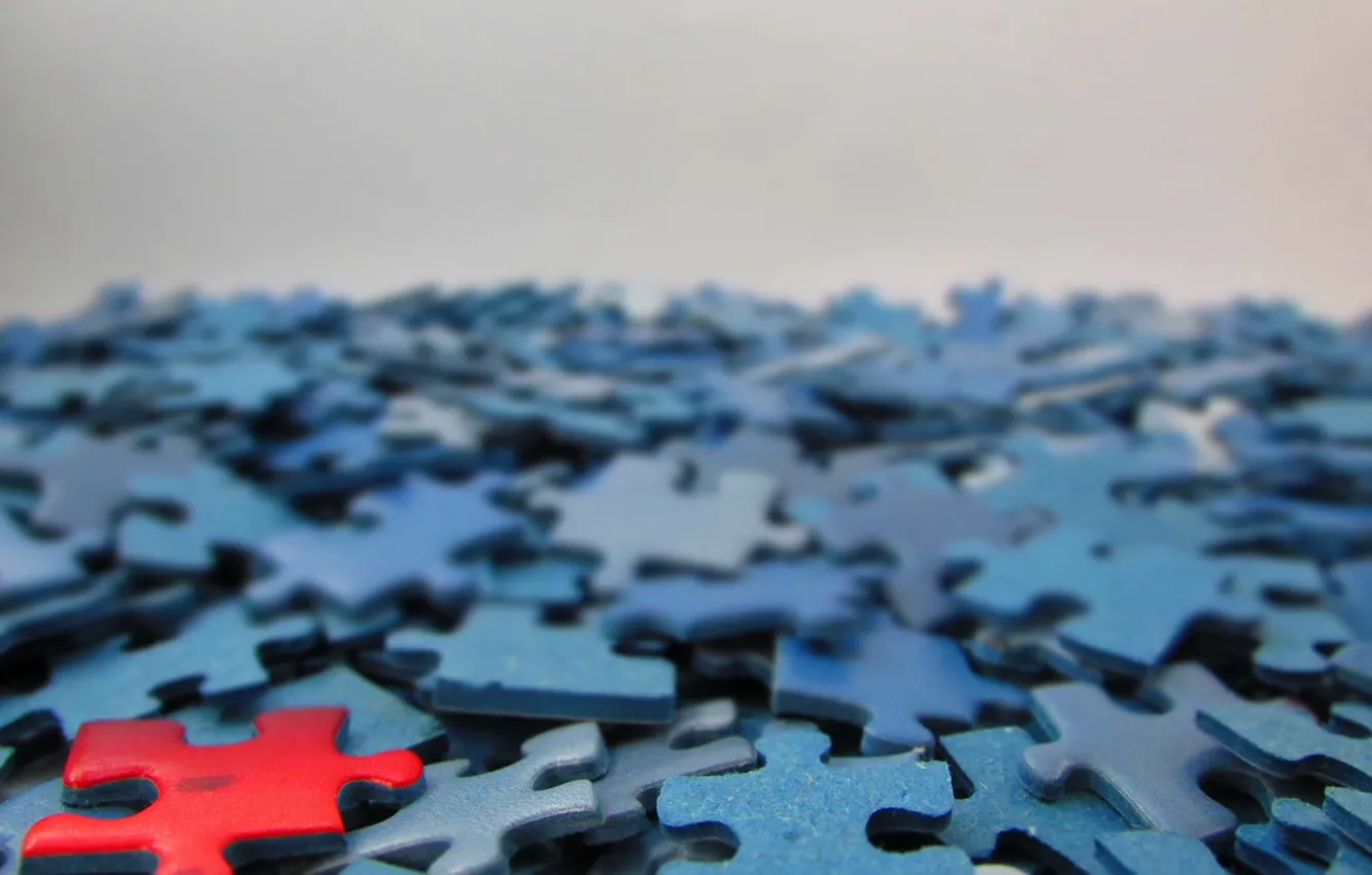 Photo wallpaper macro, background, puzzle