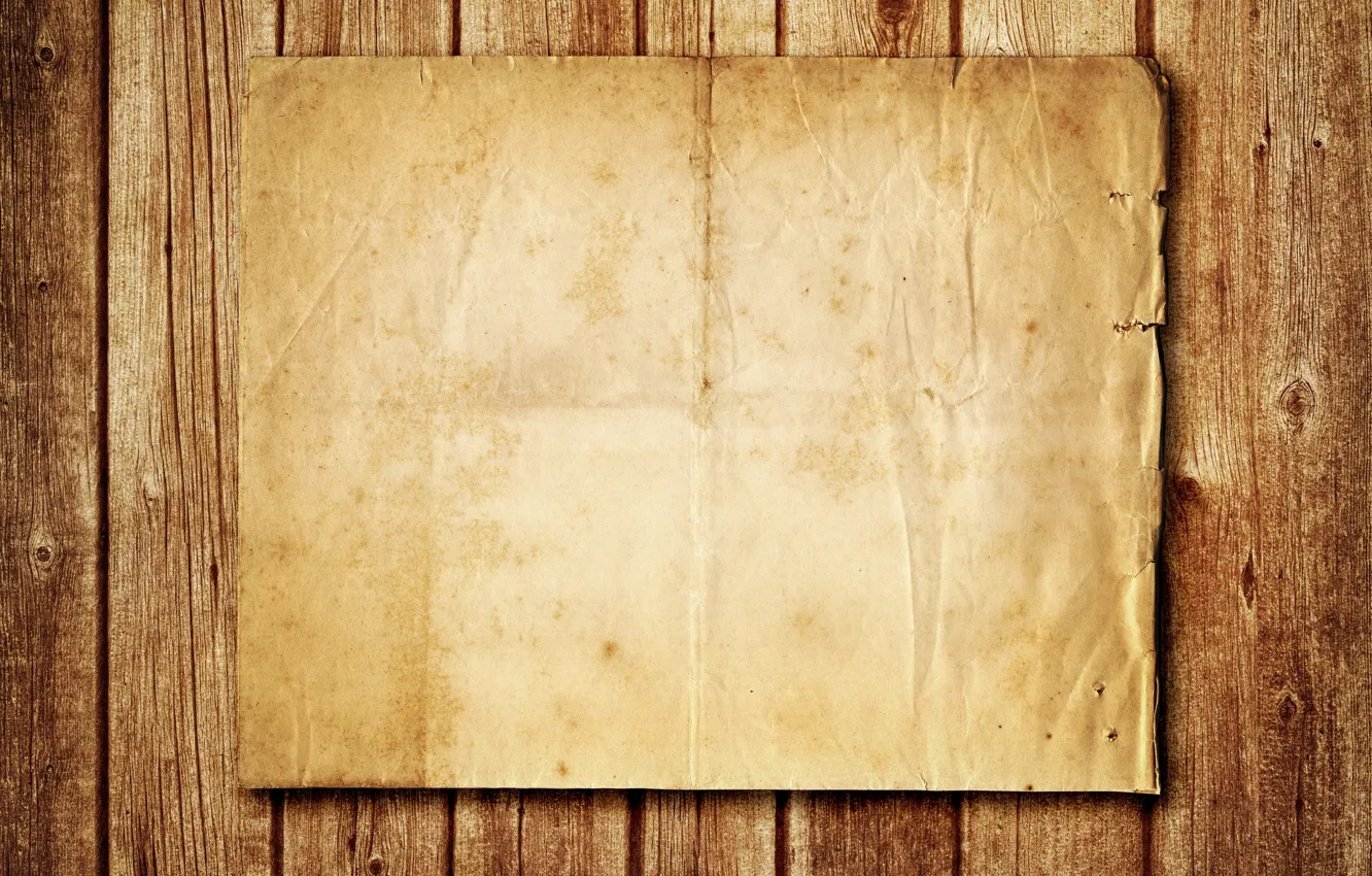 Photo wallpaper paper, tree, texture, cardboard, brown, wooden background