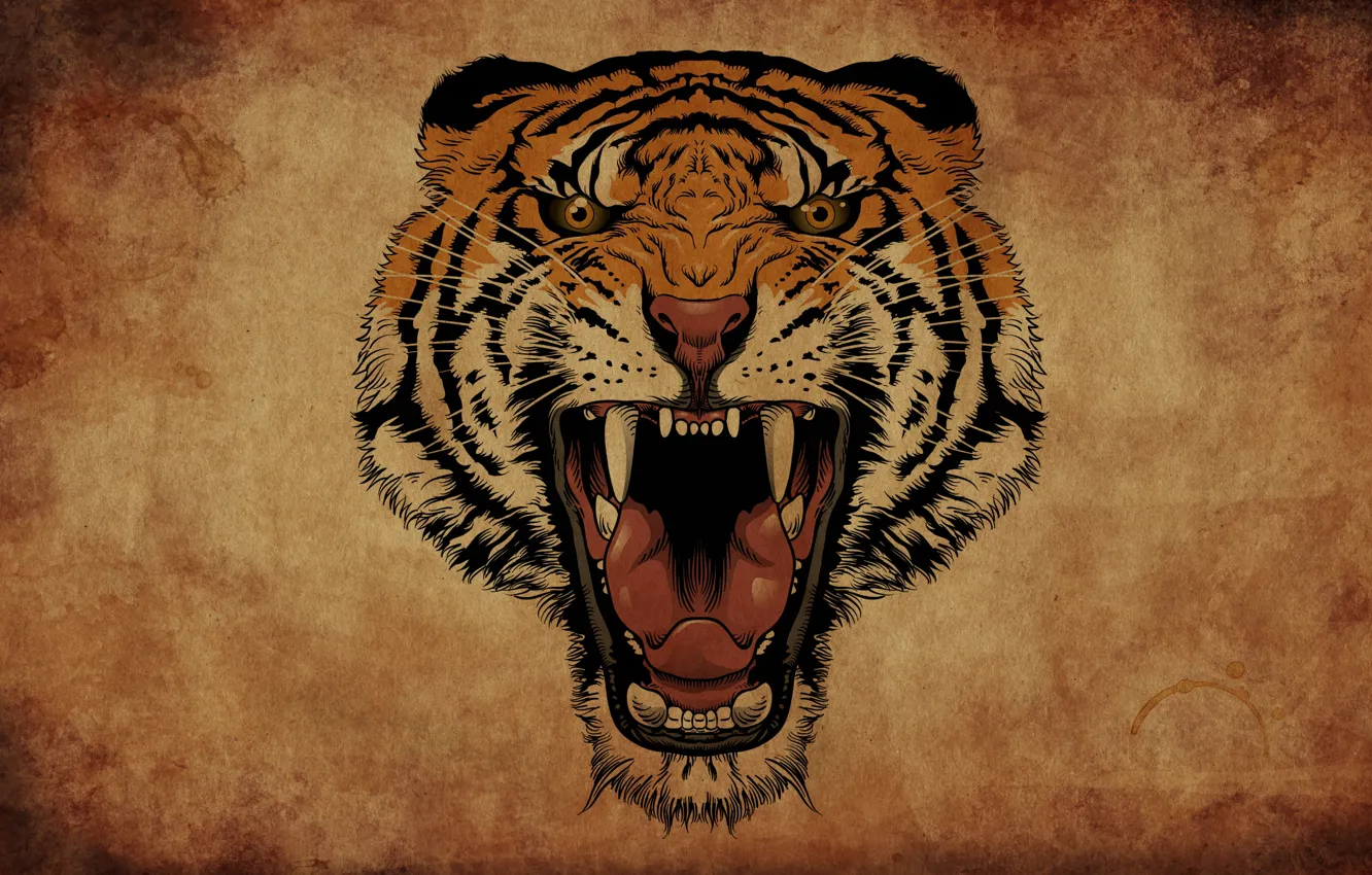 Photo wallpaper tiger, background, mouth, fangs, roar