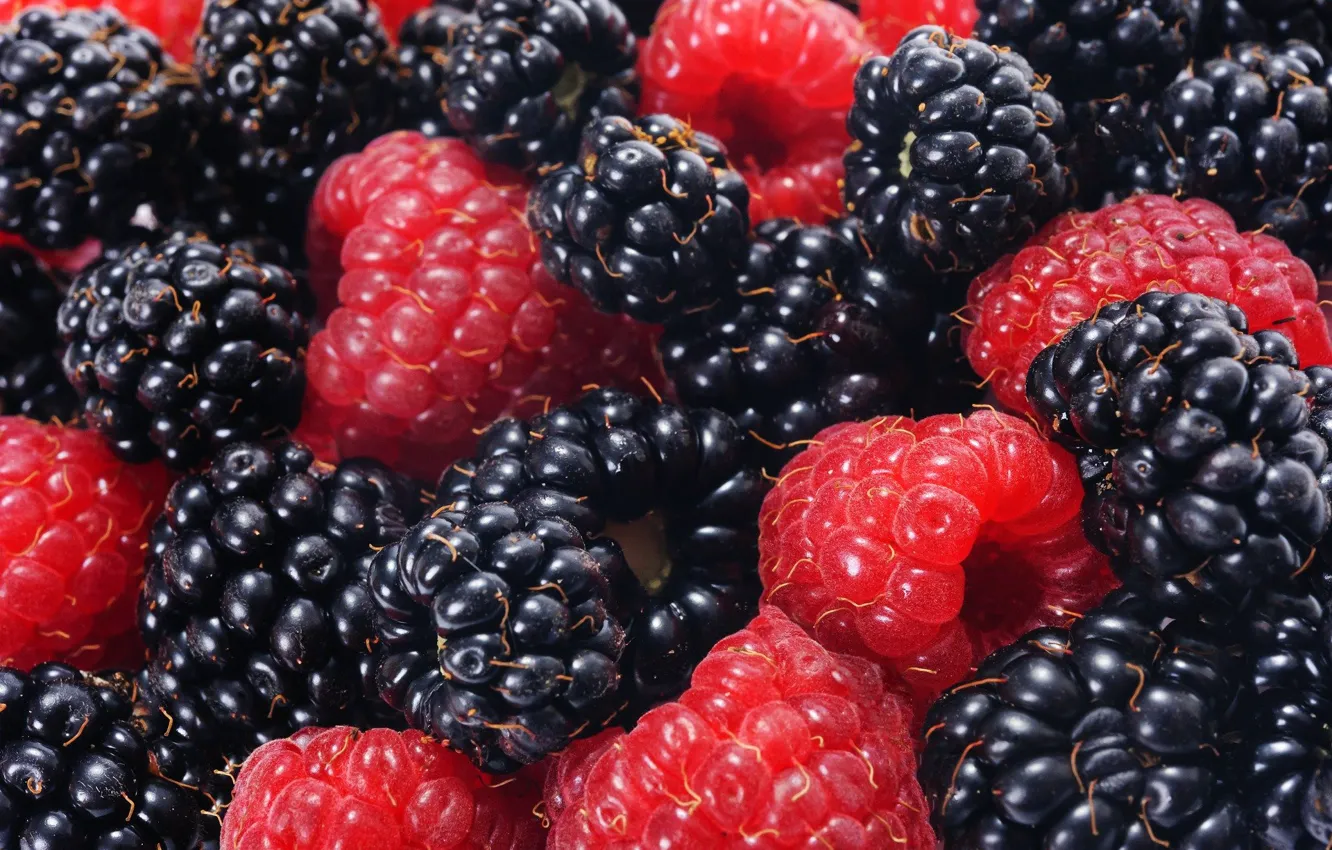 Photo wallpaper summer, nature, berries, vitamins