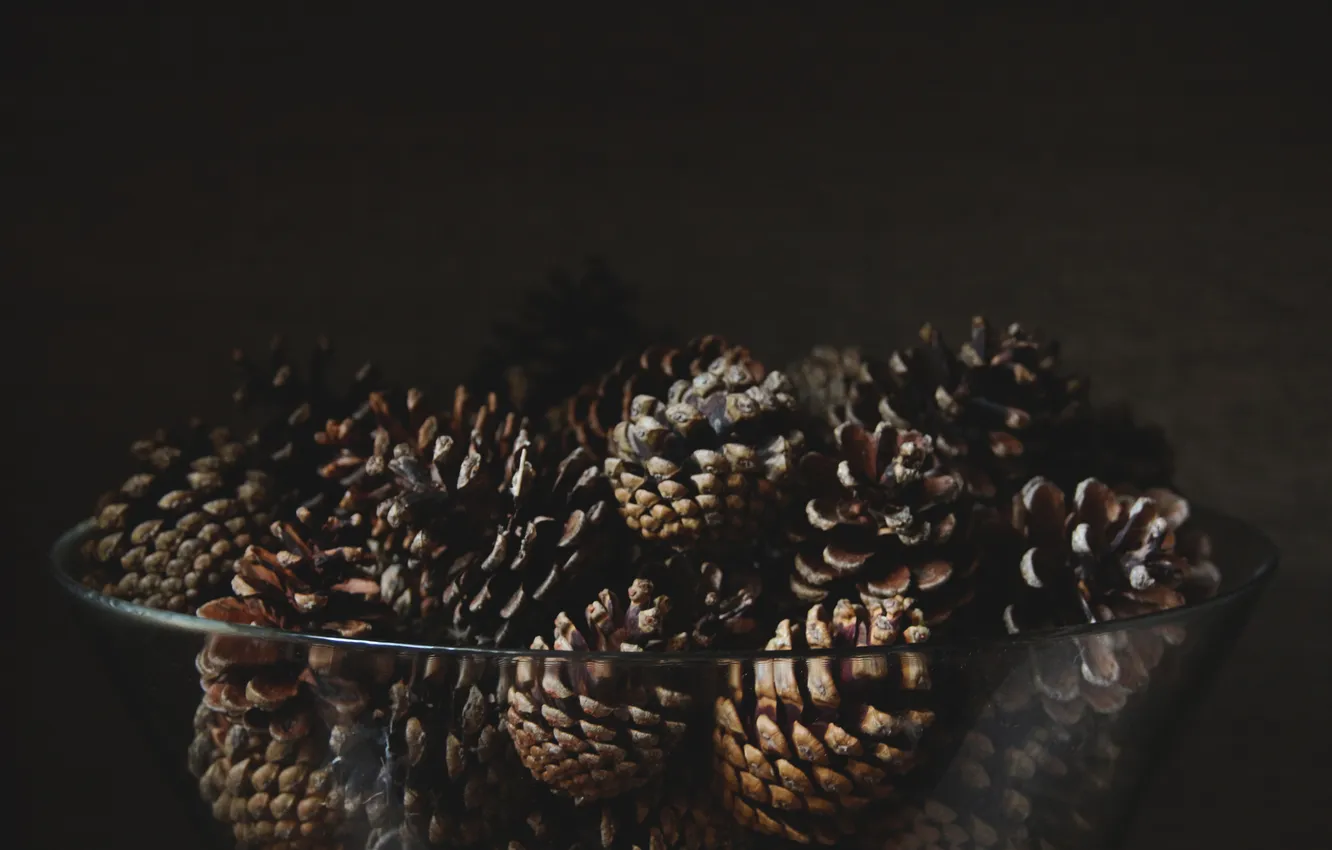 Photo wallpaper plate, bowl, bumps