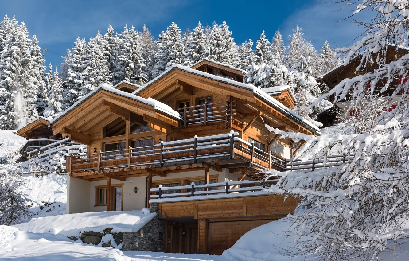 Photo wallpaper winter, forest, snow, home