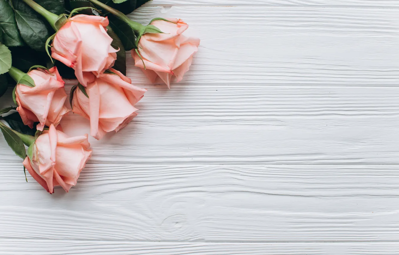 Photo wallpaper flowers, bouquet, buds, pink roses