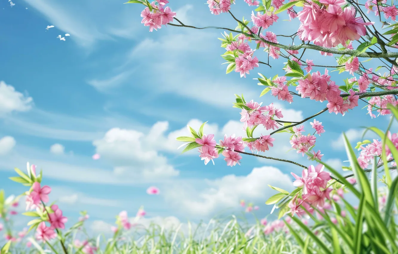 Photo wallpaper flowers, spring, sunshine, flowering, pink, blossom, flowers, spring
