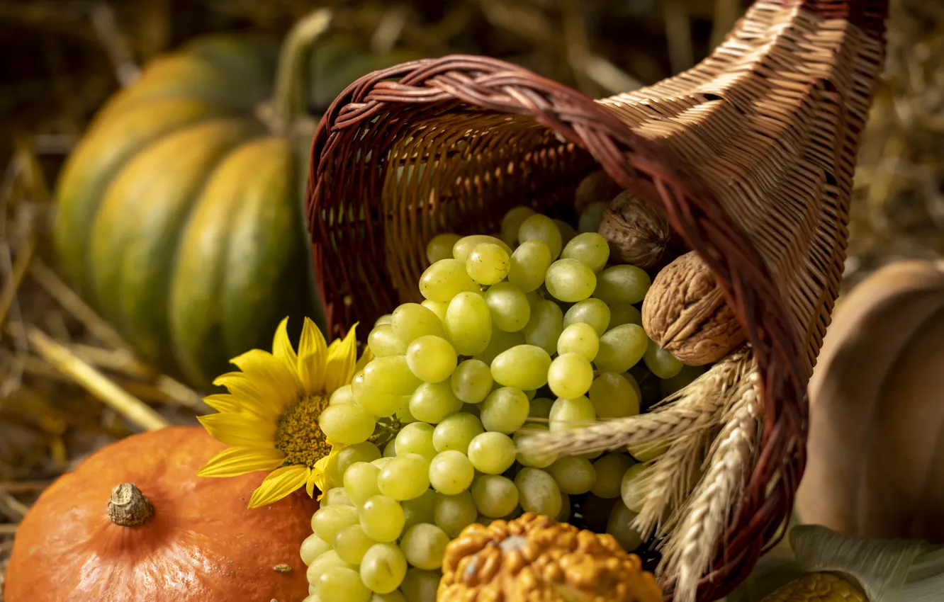 Photo wallpaper grapes, pumpkin, bunch of grapes