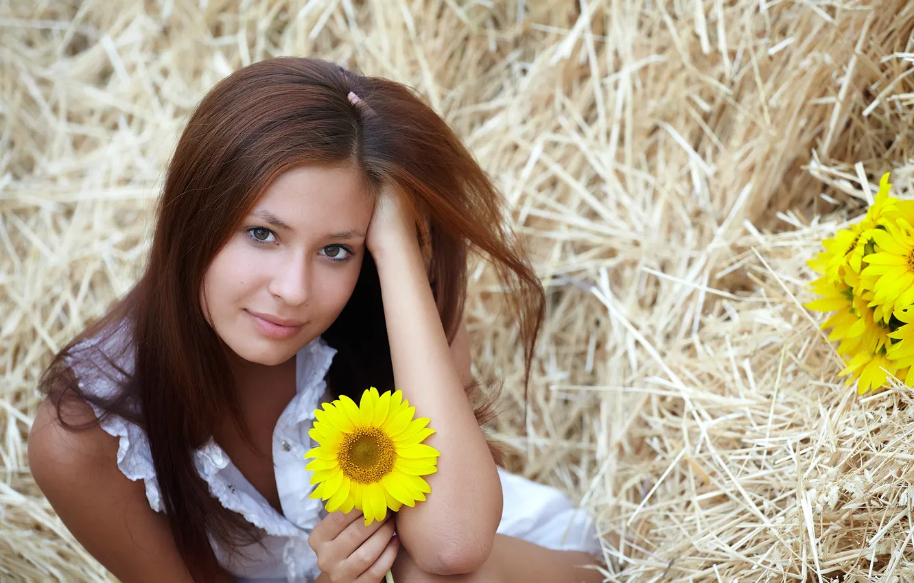 Photo wallpaper girl, sunflowers, hay, Afrodita
