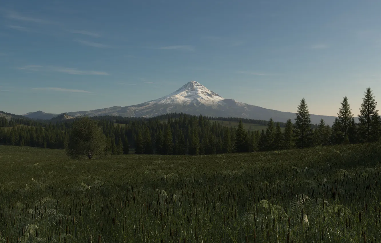Photo wallpaper field, grass, snow, trees, mountains, tops, art