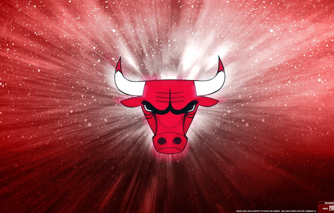 Photo wallpaper logo, new, chicago bulls