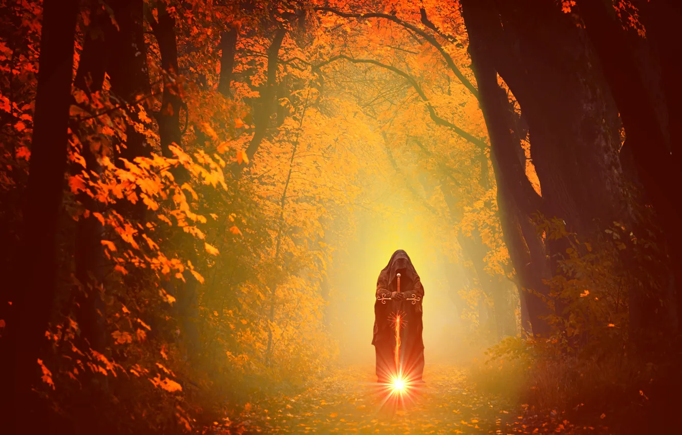 Photo wallpaper road, autumn, forest, light, trees, branches, lights, pose