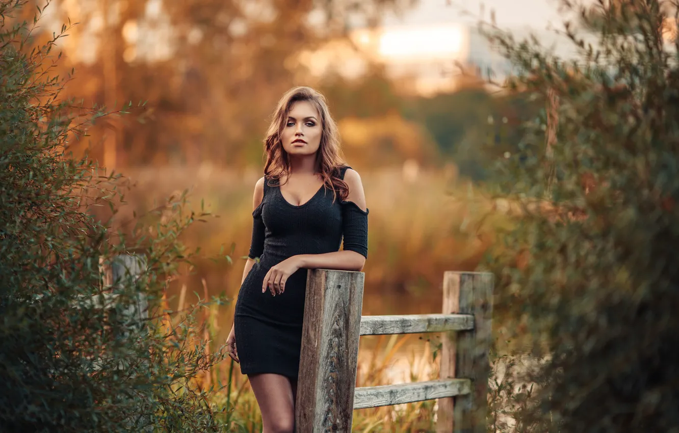 Photo wallpaper look, girl, pose, the fence, portrait, dress, neckline, red