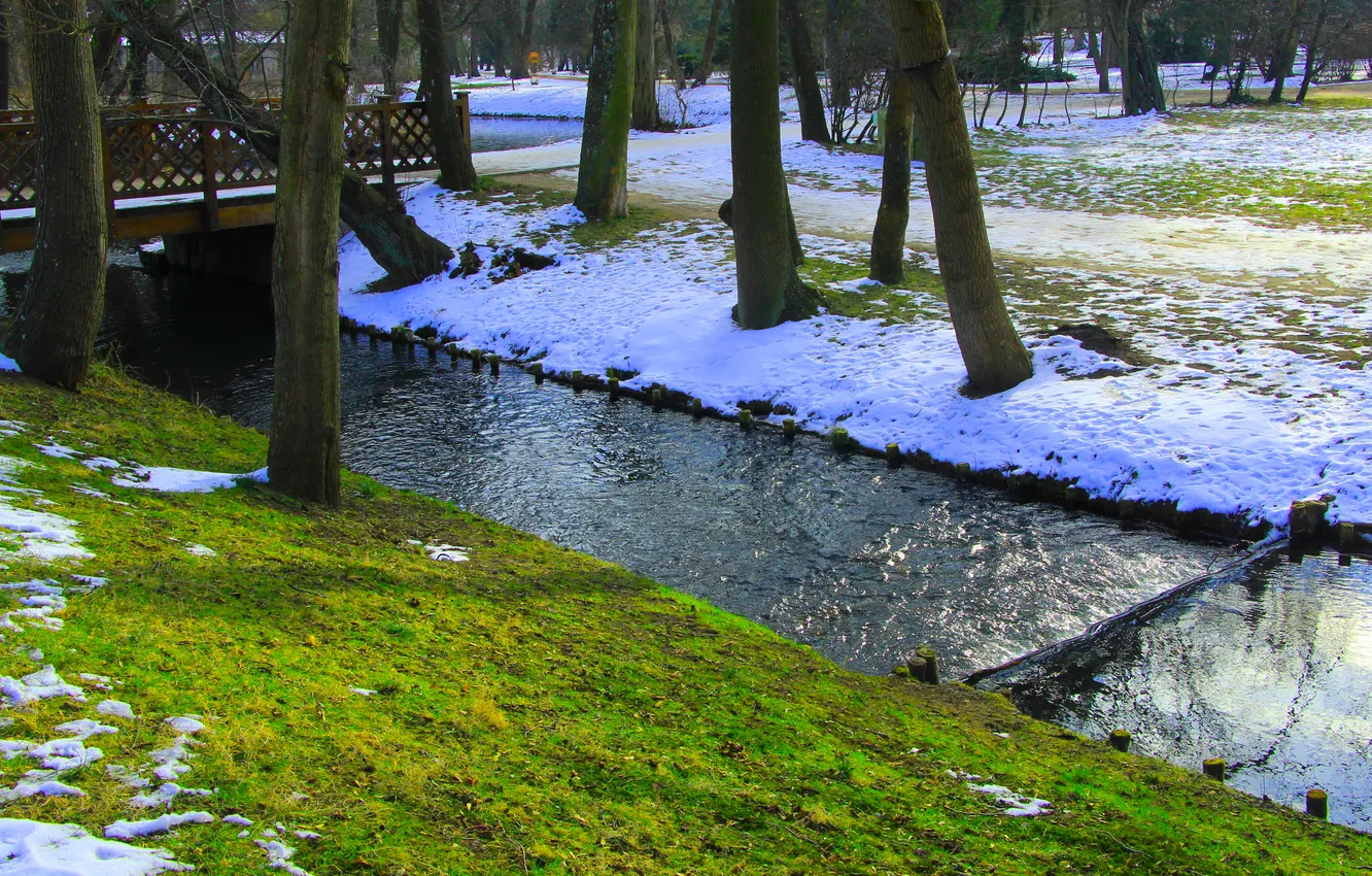 Photo wallpaper trees, park, Water Stream