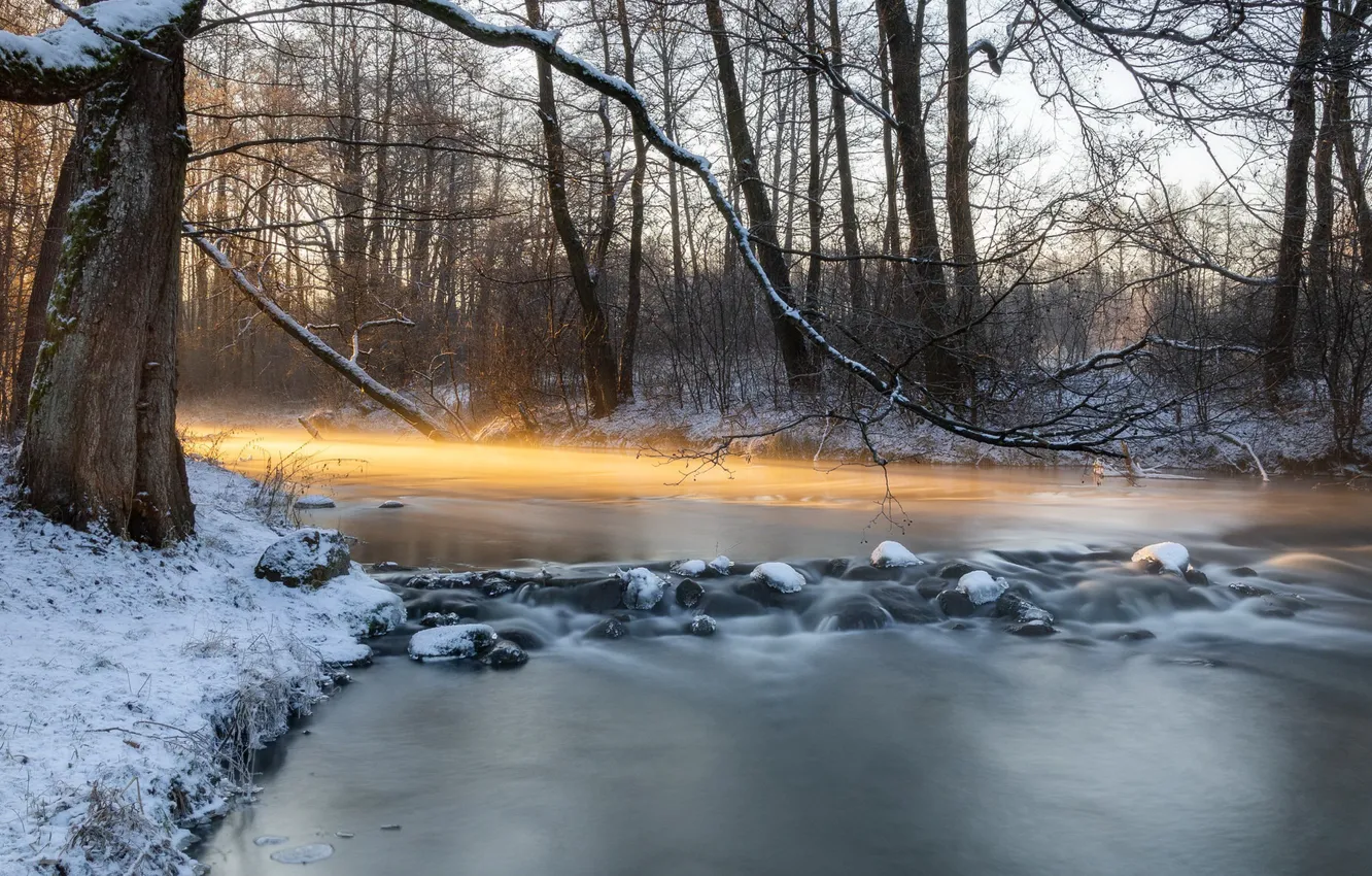 Photo wallpaper winter, river, morning