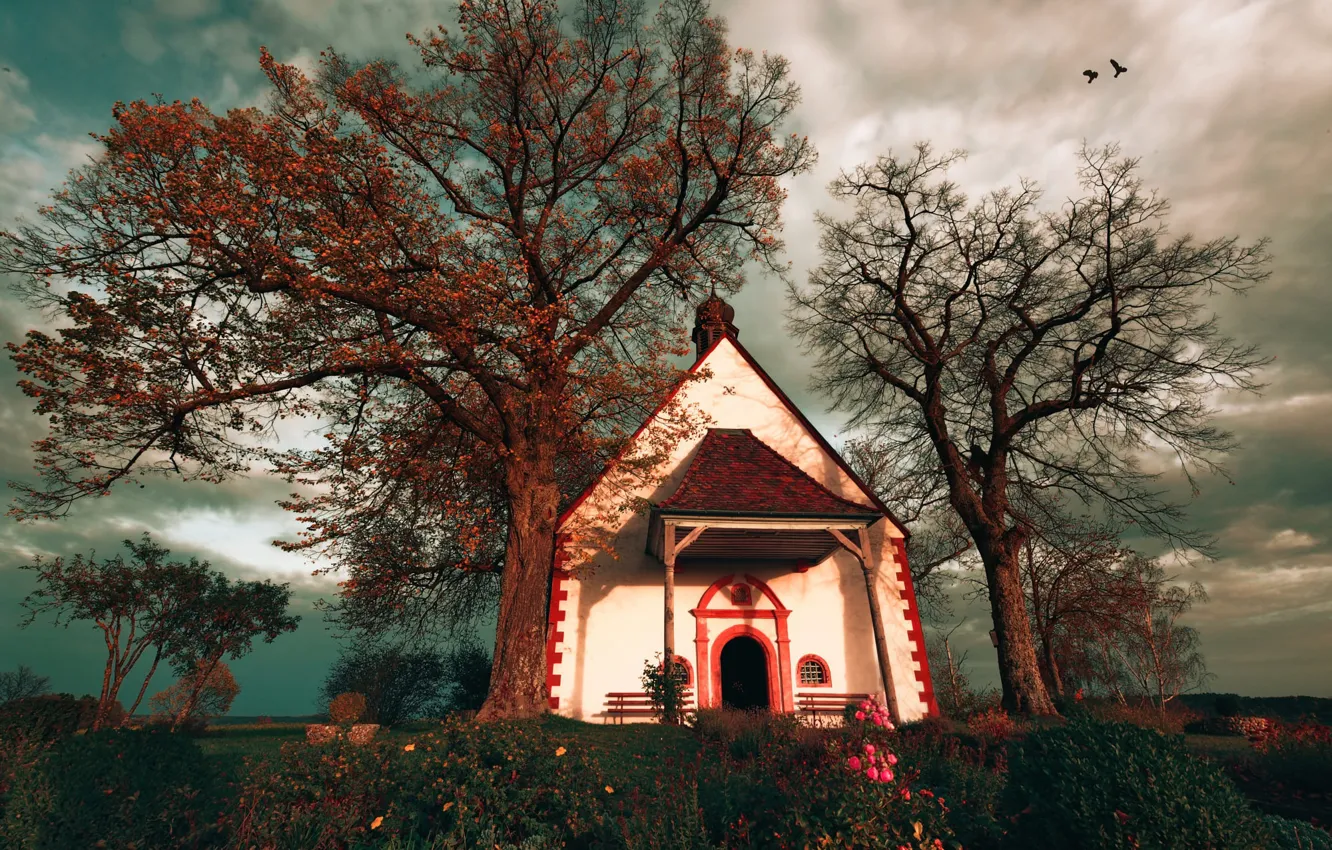 Photo wallpaper autumn, the sky, light, trees, clouds, branch, foliage, Church