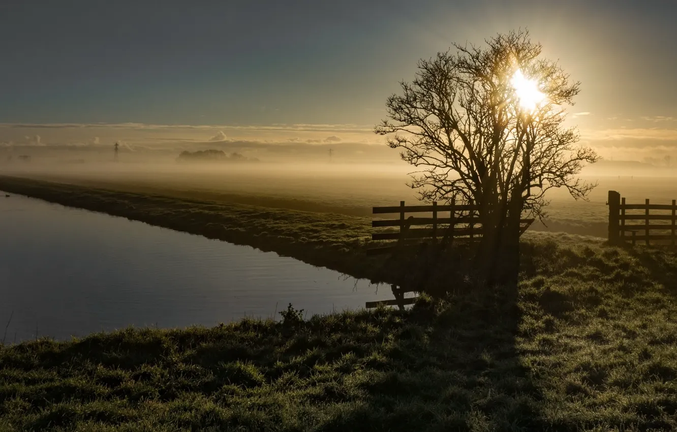 Photo wallpaper fog, river, morning