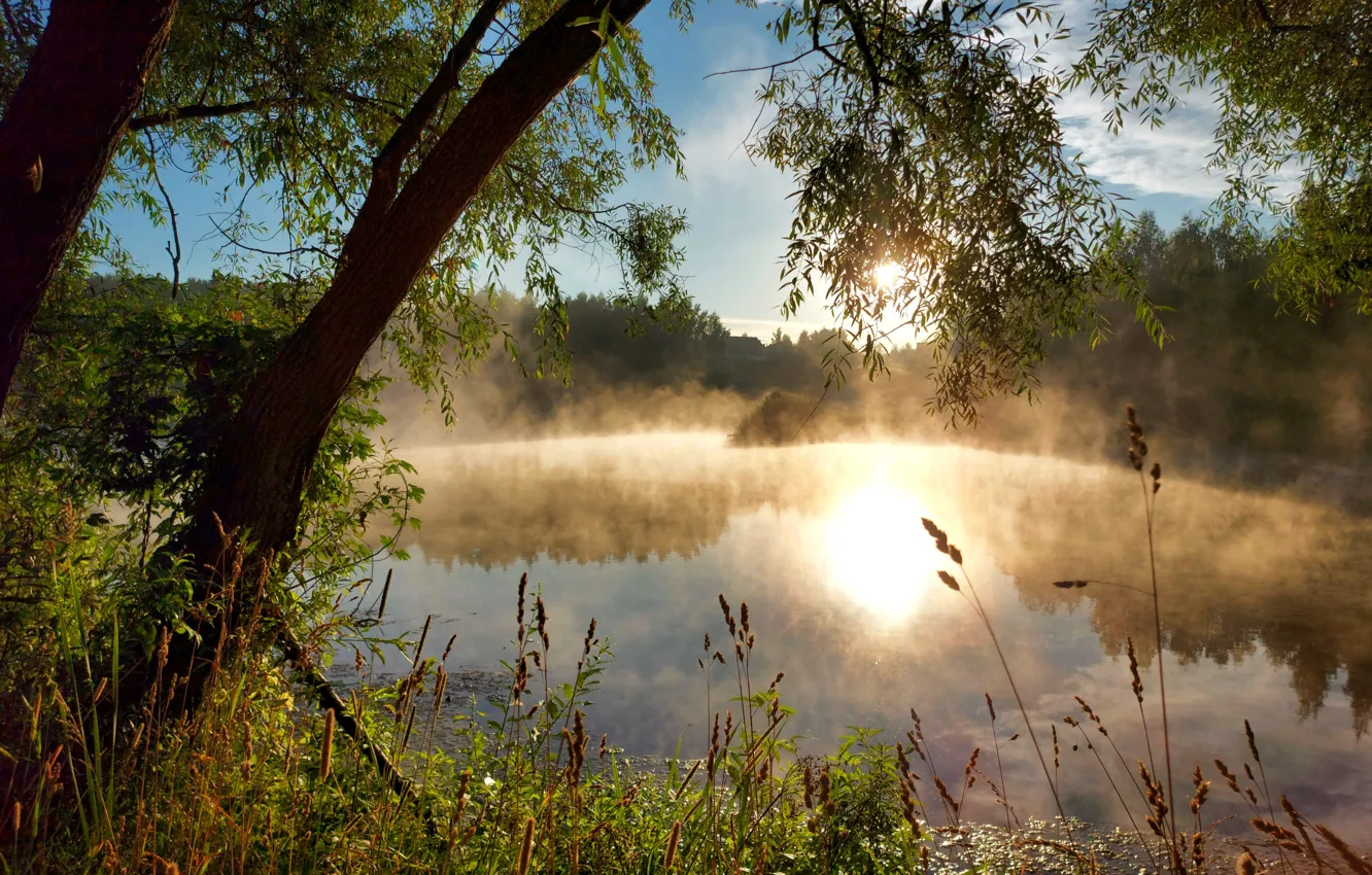 Photo wallpaper fog, shore, morning, pond